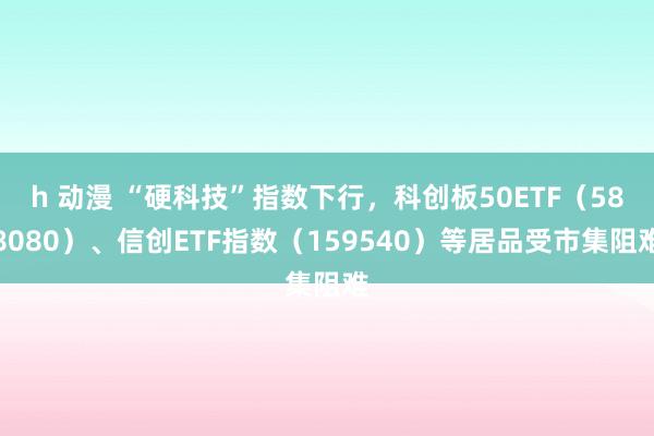 h 动漫 “硬科技”指数下行，科创板50ETF（588080）、信创ETF指数（159540）等居品受市集阻难