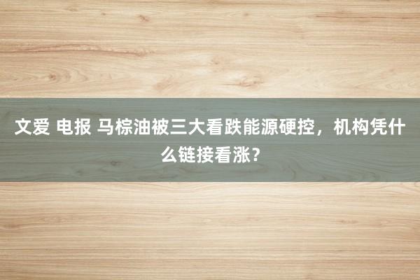 文爱 电报 马棕油被三大看跌能源硬控,机构凭什么链接看涨?