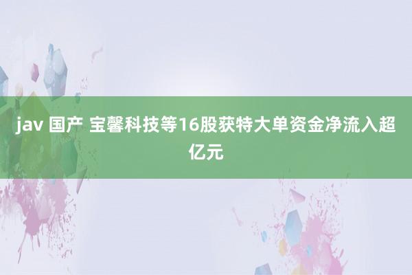 jav 国产 宝馨科技等16股获特大单资金净流入超亿元