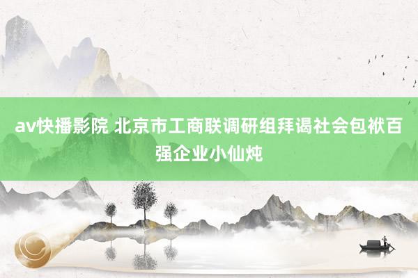 av快播影院 北京市工商联调研组拜谒社会包袱百强企业小仙炖