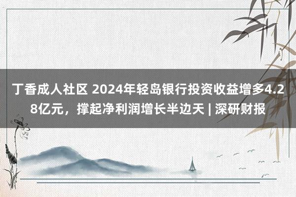 丁香成人社区 2024年轻岛银行投资收益增多4.28亿元,撑起净利润增长半边天 | 深研财报